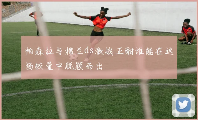 帕森拉与棉兰ds激战正酣谁能在这场较量中脱颖而出