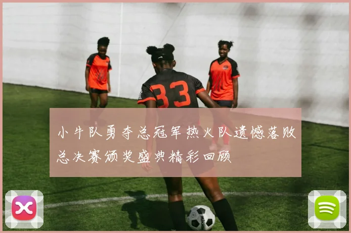 小牛队勇夺总冠军热火队遗憾落败总决赛颁奖盛典精彩回顾