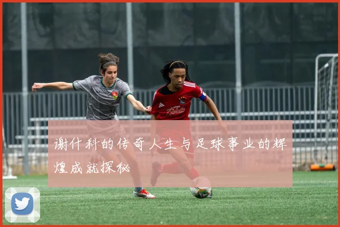 谢什科的传奇人生与足球事业的辉煌成就探秘