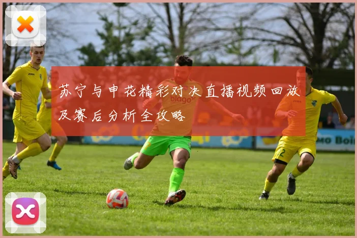 苏宁与申花精彩对决直播视频回放及赛后分析全攻略